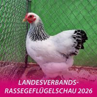 Gefluegelschau