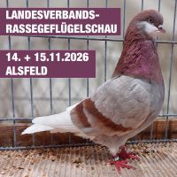 Rassegefluegelshow